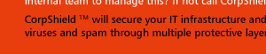 CorpShield will secure your IT infrastructure and your enterprise. We will filter mails from viruses and spam through multiple protective layers before it reaches your server.